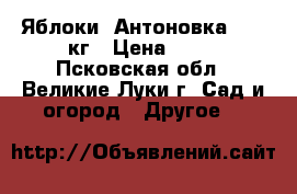 Яблоки “Антоновка“ -150кг › Цена ­ 15 - Псковская обл., Великие Луки г. Сад и огород » Другое   